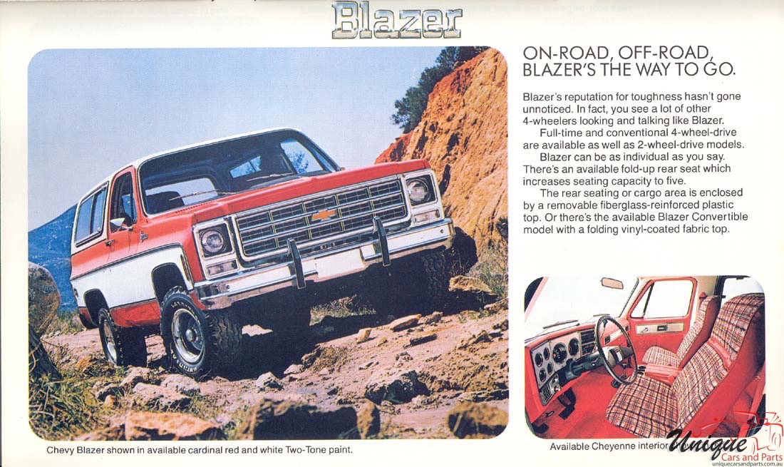 1979 Chevrolet Full-Line Brochure Page 21